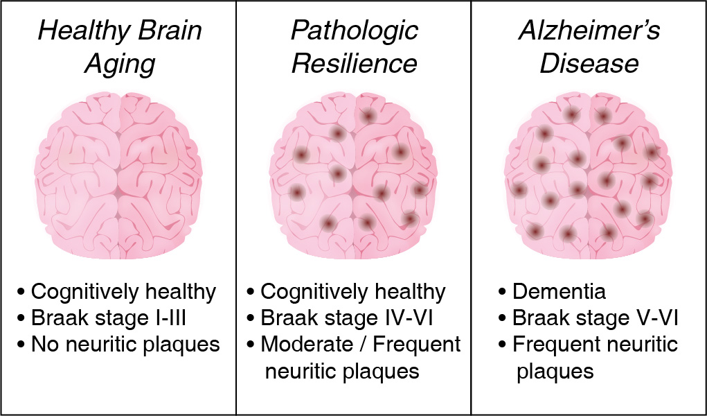 Pathologic Resilience in AD